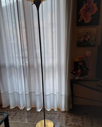 alogena a piantana