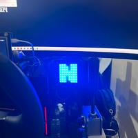 Sim Racing Iflag