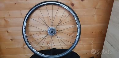 Ruota fulcrum racing 5