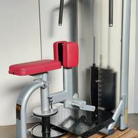 Abdominal - Rotary Torso