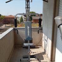 Palestra completa
