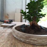 Vaso Bonsai in pietra naturale