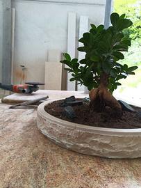 Vaso Bonsai in pietra naturale