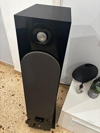 Focal chora 826