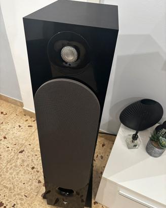 Focal chora 826