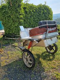 Carrozza 2 ruote autocostruita