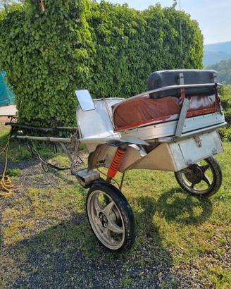 Carrozza 2 ruote autocostruita