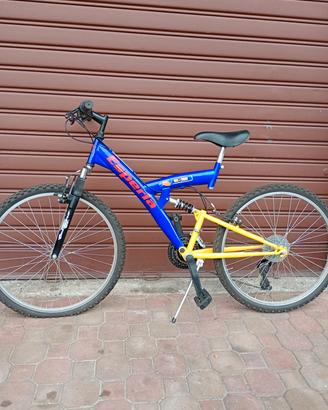 Mountain bike 