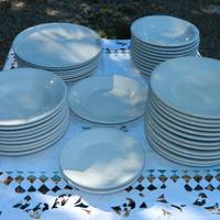 Piatti in porcellana per ristoranti