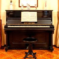 Pianoforte Seiler