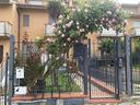 villette-a-schiera-cupra-marittima