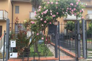 Villette a schiera - Cupra Marittima