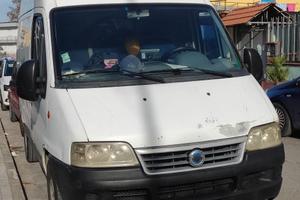 FIAT DUCATO 244 2.3 JTD PASSO CORTO TETTO ALTO 33Q