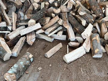 Legna pronta per provviste già secca