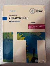 L'essenziale Mondi possibili