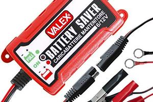 Caricabatterie e mantenitore per veicoli