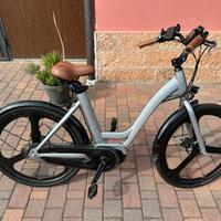 Bicicletta elettrica