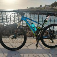 mtb torpado 