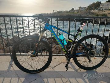 mtb torpado 