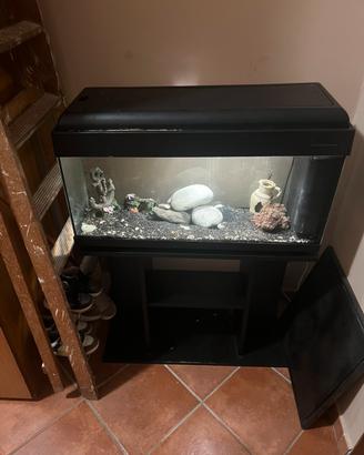 Aquario