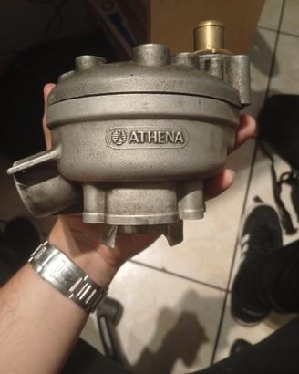 Athena 70 Sporting am6