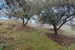 Valona Albania terreno