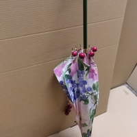 Ombrello parasole Carlo Zini