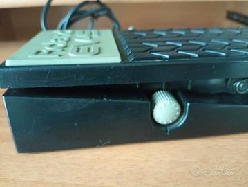 PEDALE DI ESPRESSIONE ROLAND EV-5