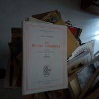 Dante inferno divina commedia sapegno