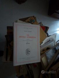 Dante inferno divina commedia sapegno