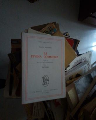 Dante inferno divina commedia sapegno