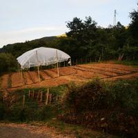 SERRA AGRICOLA 