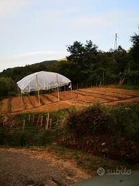 SERRA AGRICOLA 