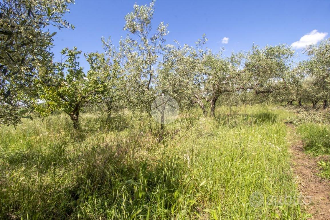 TER. AGRICOLO A MORICONE - Vista 5