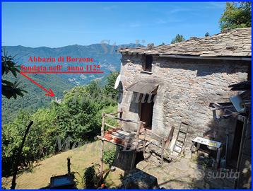 Casa rustica in pietra con terreno