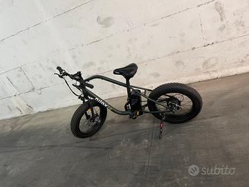Bici elettrica