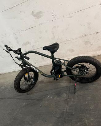 Bici elettrica