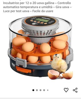 incubatrice okkobi