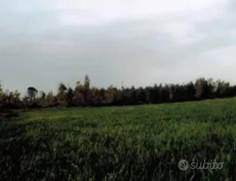Immobile in asta di 356829 m² a Mazzarino - Vista 5