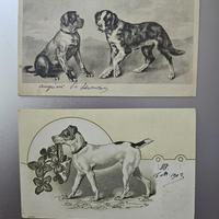 Due cartoline postali antiche viaggiate CANI