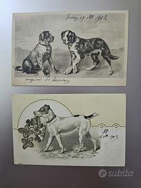 Due cartoline postali antiche viaggiate CANI