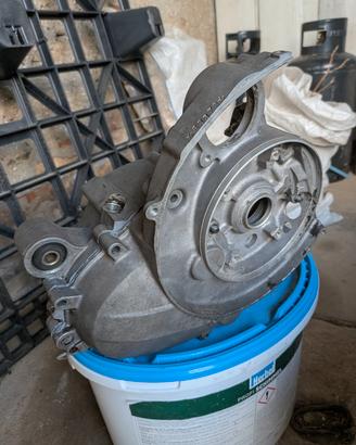 carter vespa hp