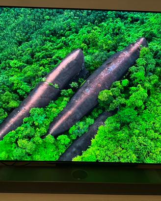LG OLED C4 55’ + SOUNDBAR LG SC9S 400W