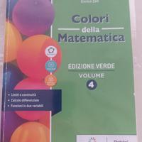 COLORI DELLA MATEMATICA VOL. 4