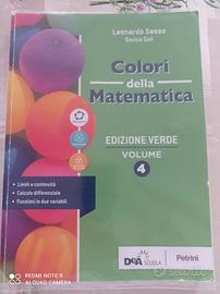 COLORI DELLA MATEMATICA VOL. 4