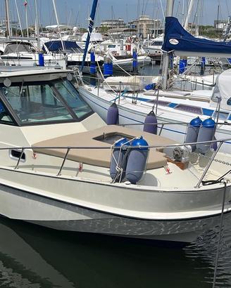 Boston whaler revenge 25