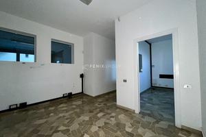 AMPIO UFFICIO LIBERO DA SUBITO