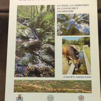 LE FONTANE DELLA FORESTA DEMANIALE DI ANELA