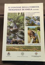 LE FONTANE DELLA FORESTA DEMANIALE DI ANELA
