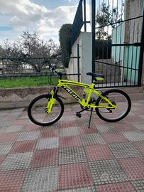 bicicletta